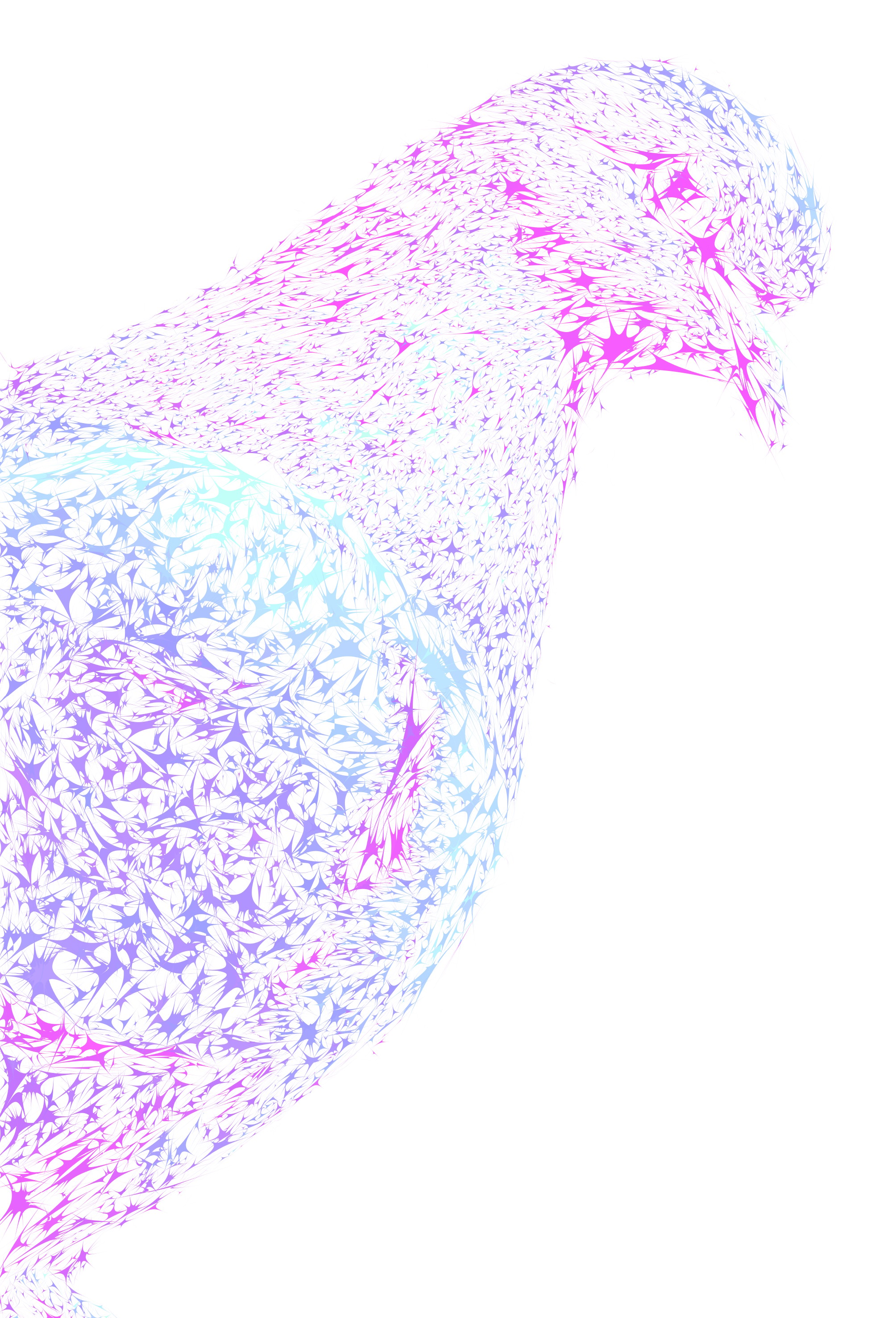 pigeon magaizine cover