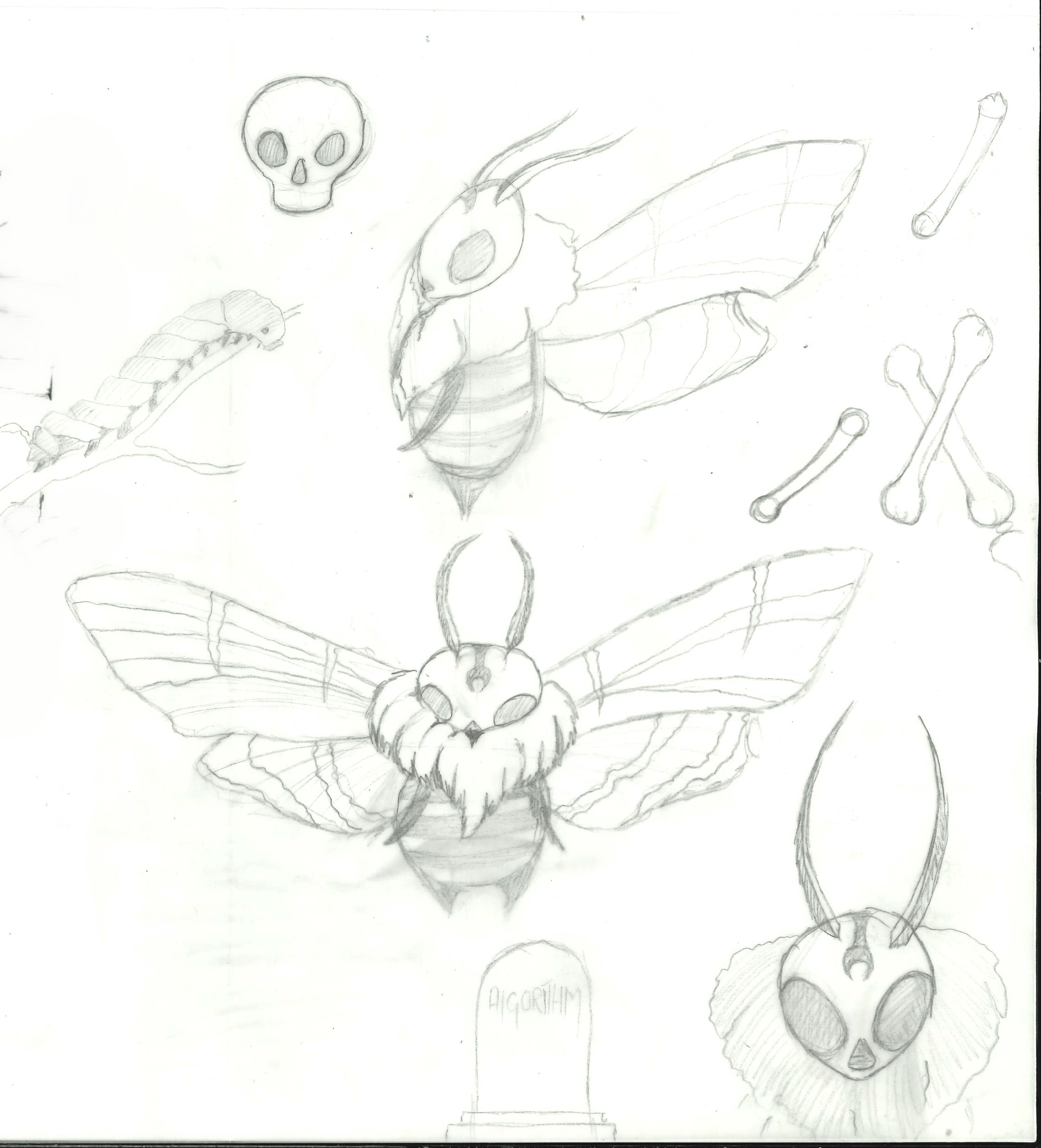 sketch 1